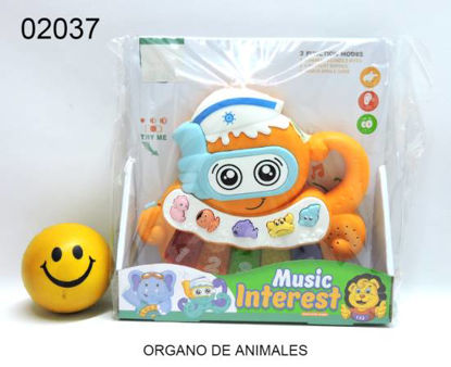 Imagen de ORGANO DE ANIMALES 11.25